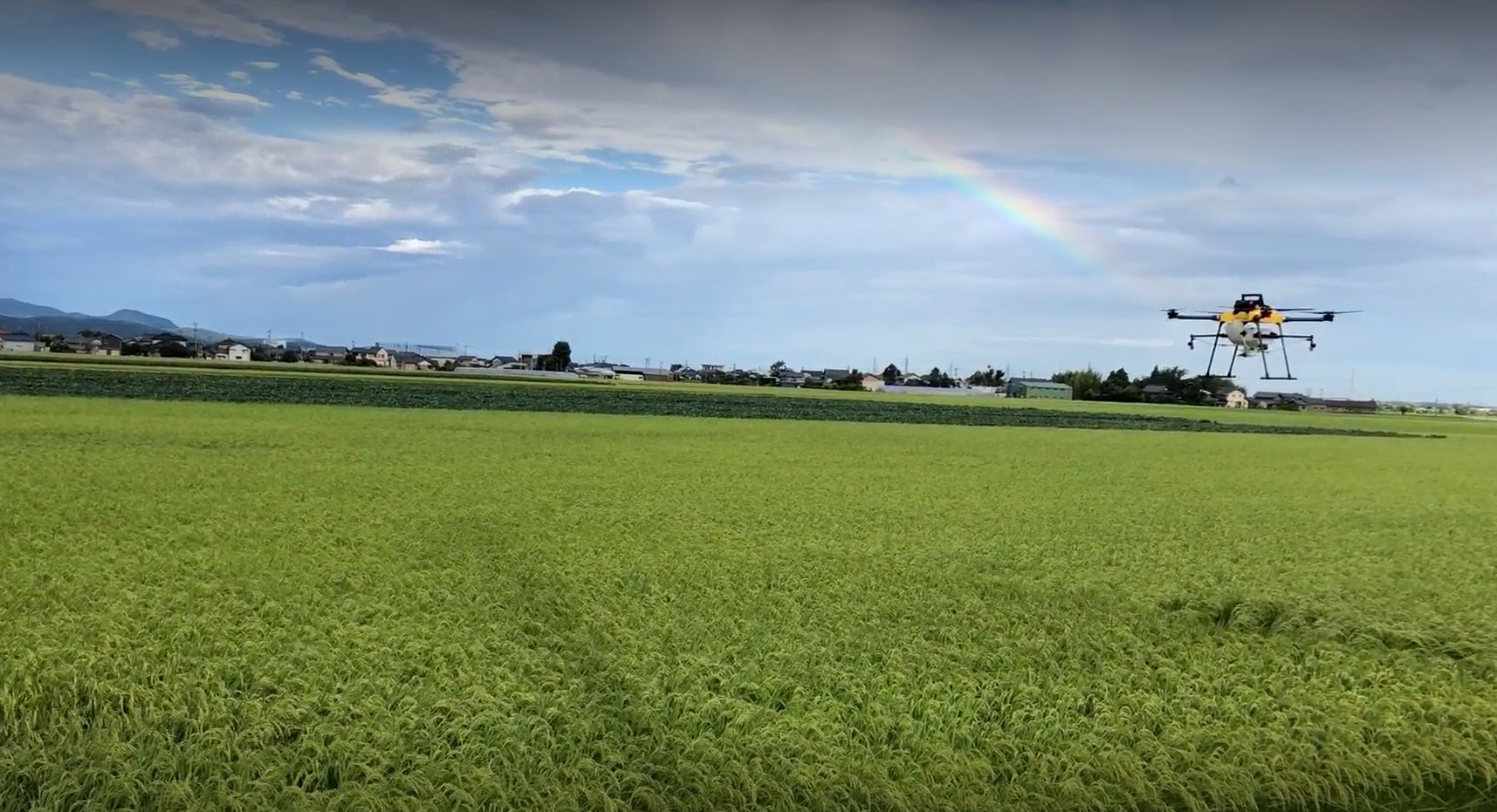 Agricultural drone spraying green crops at sunset